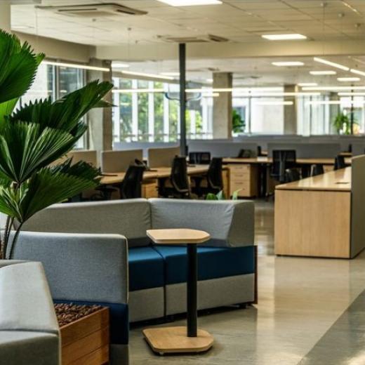Biofilia no ambiente de trabalho
