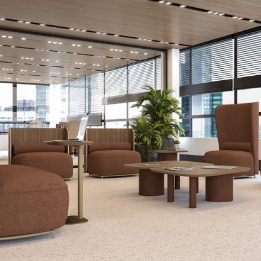 ¿Por qué los muebles orgánicos son tendencia en el mobiliario corporativo?
